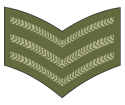 Sgts stripes